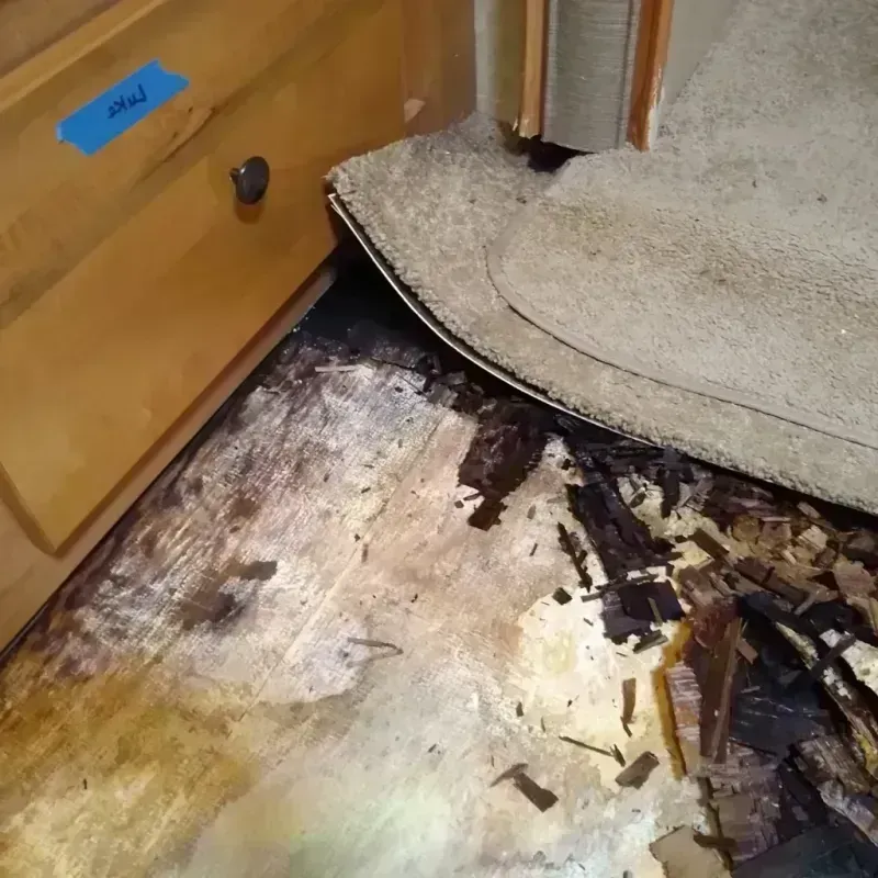 Wood Floor Water Damage in Horizon West, FL